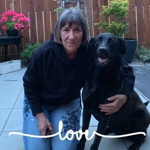 Meet your Posher, Laura